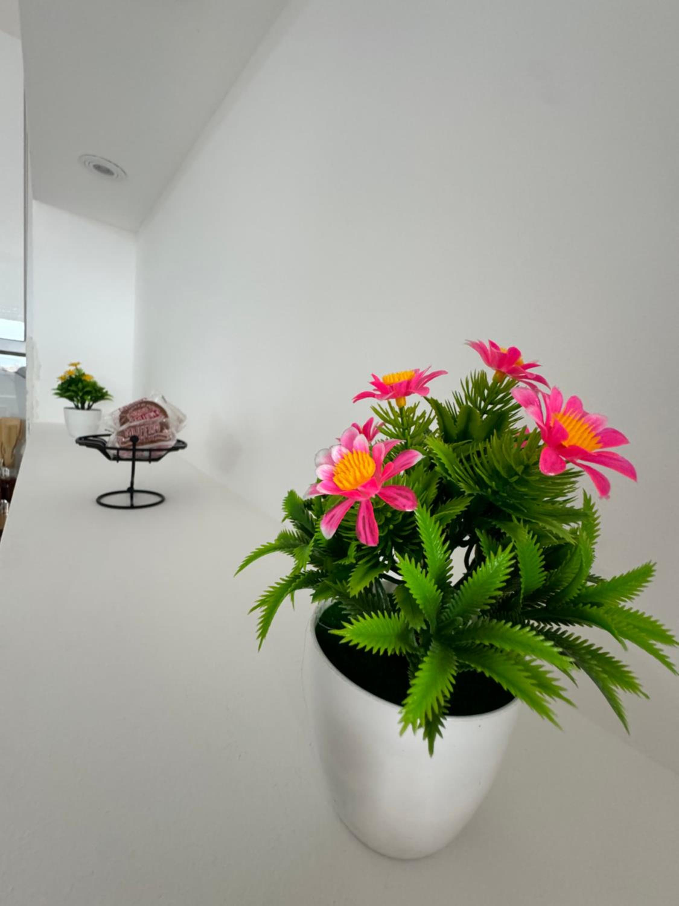 Dave luxury apartment