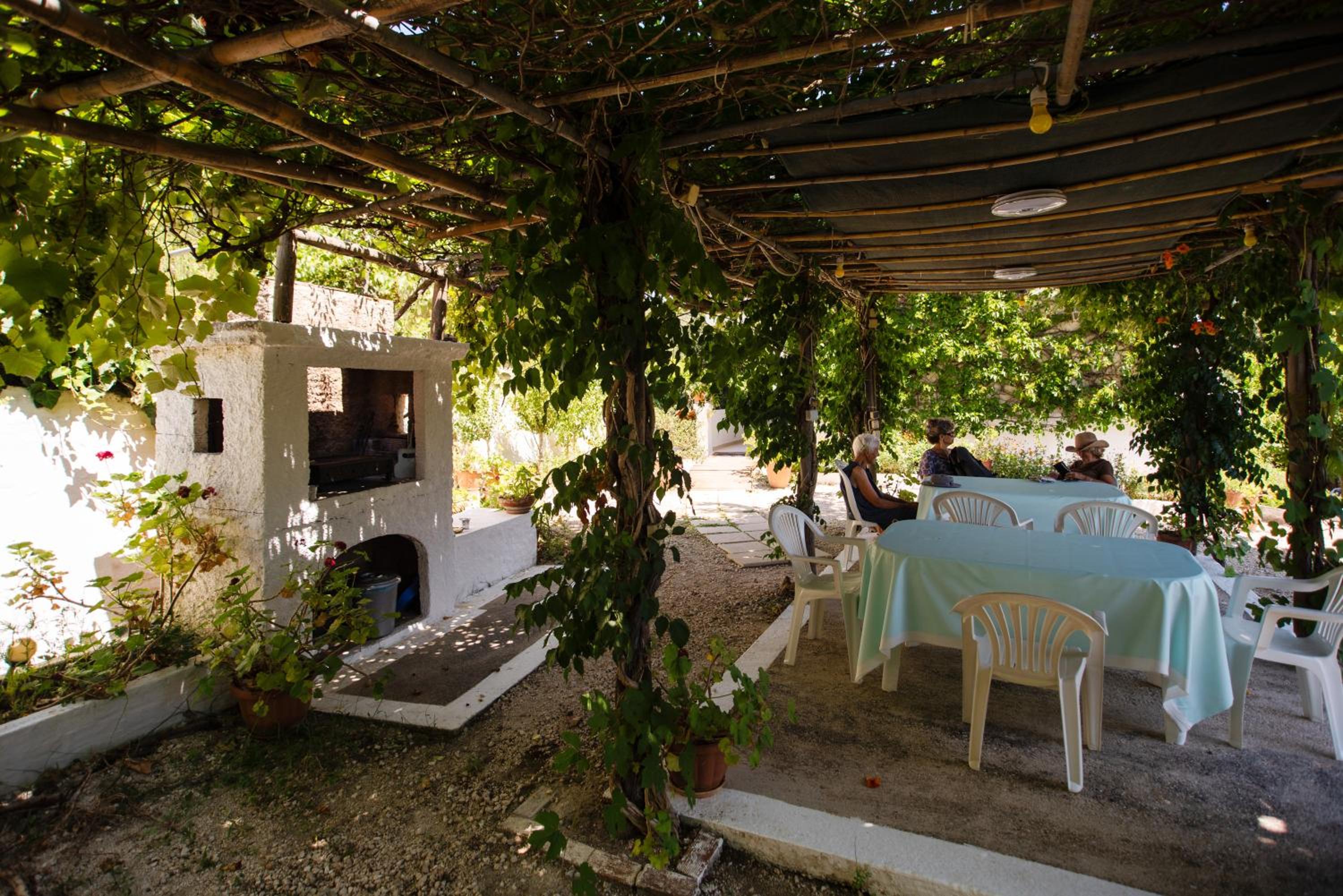 Photo 41