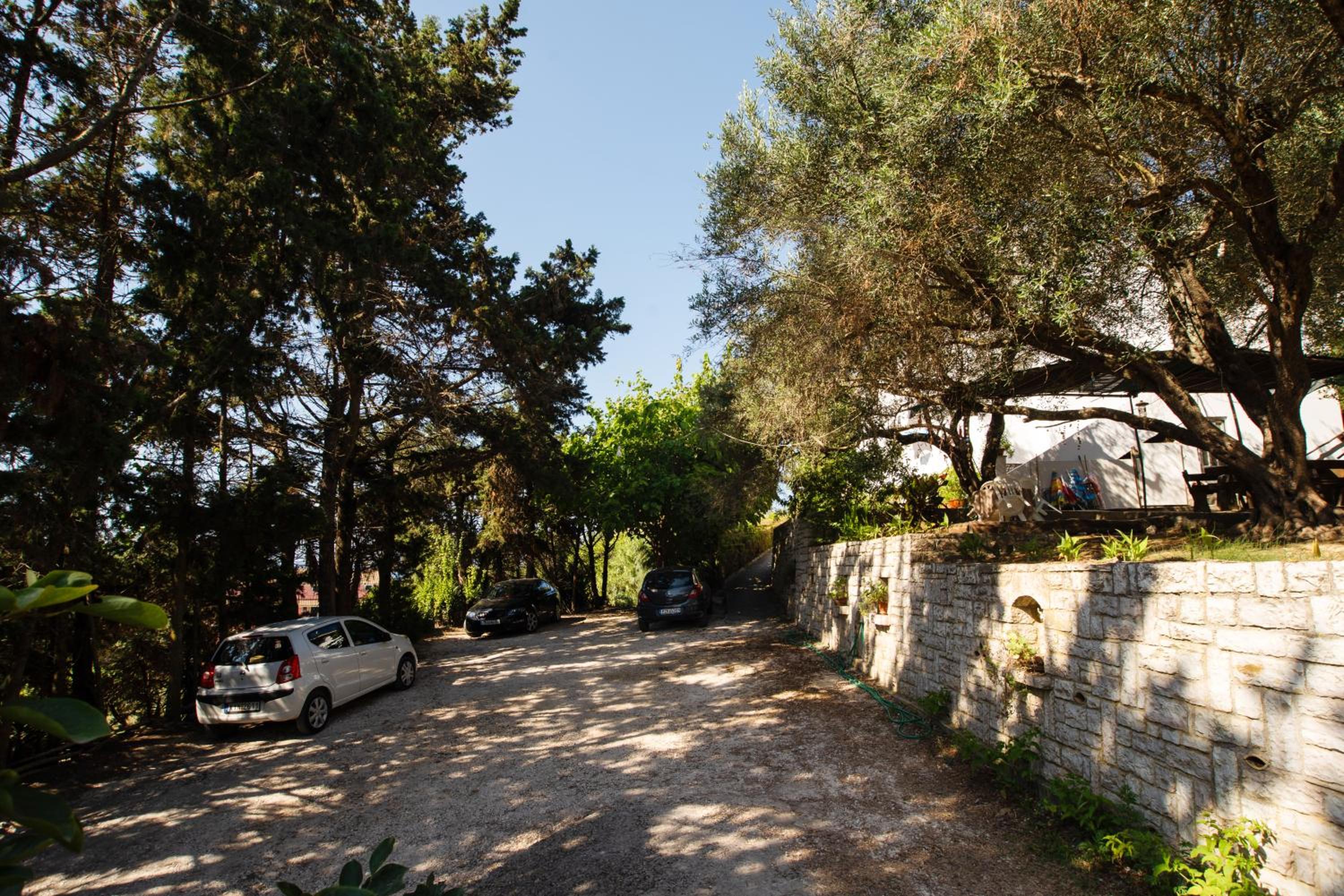 Photo 42