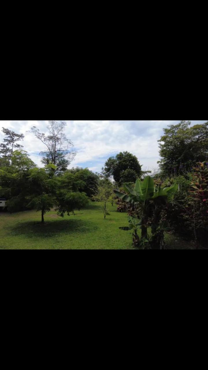 Arenal Hostel La Catarata