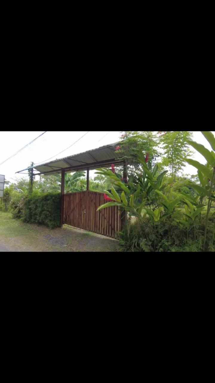 Arenal Hostel La Catarata