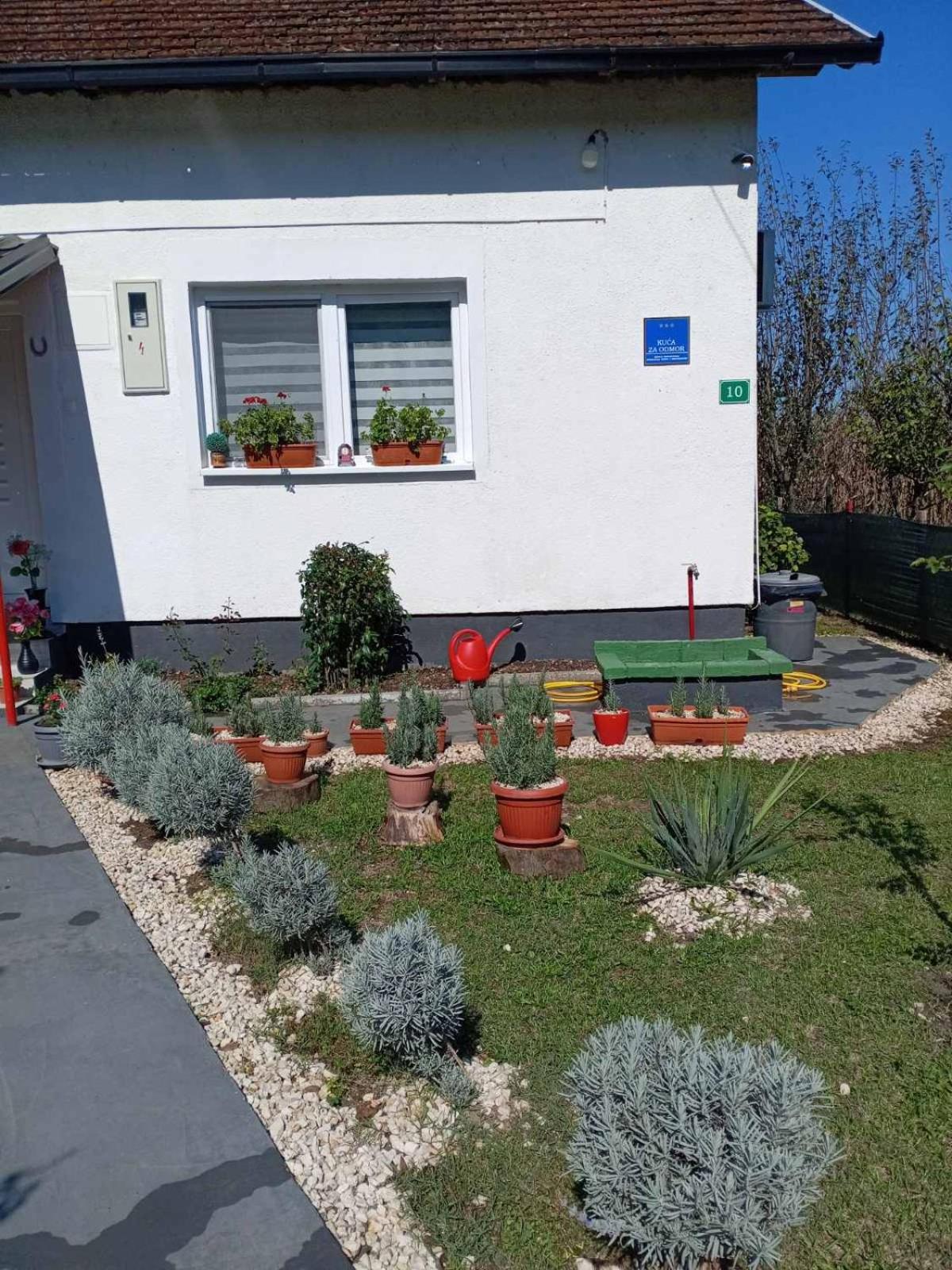 Apartman Cirkic