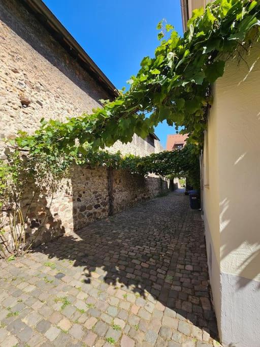 Casa Ciconia - Über den Dächern der Altstadt