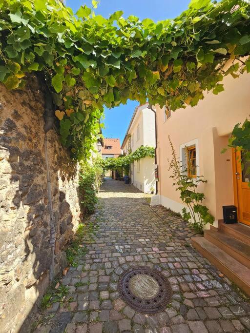 Casa Ciconia - Über den Dächern der Altstadt