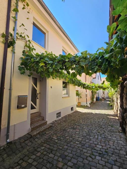 Casa Ciconia - Über den Dächern der Altstadt