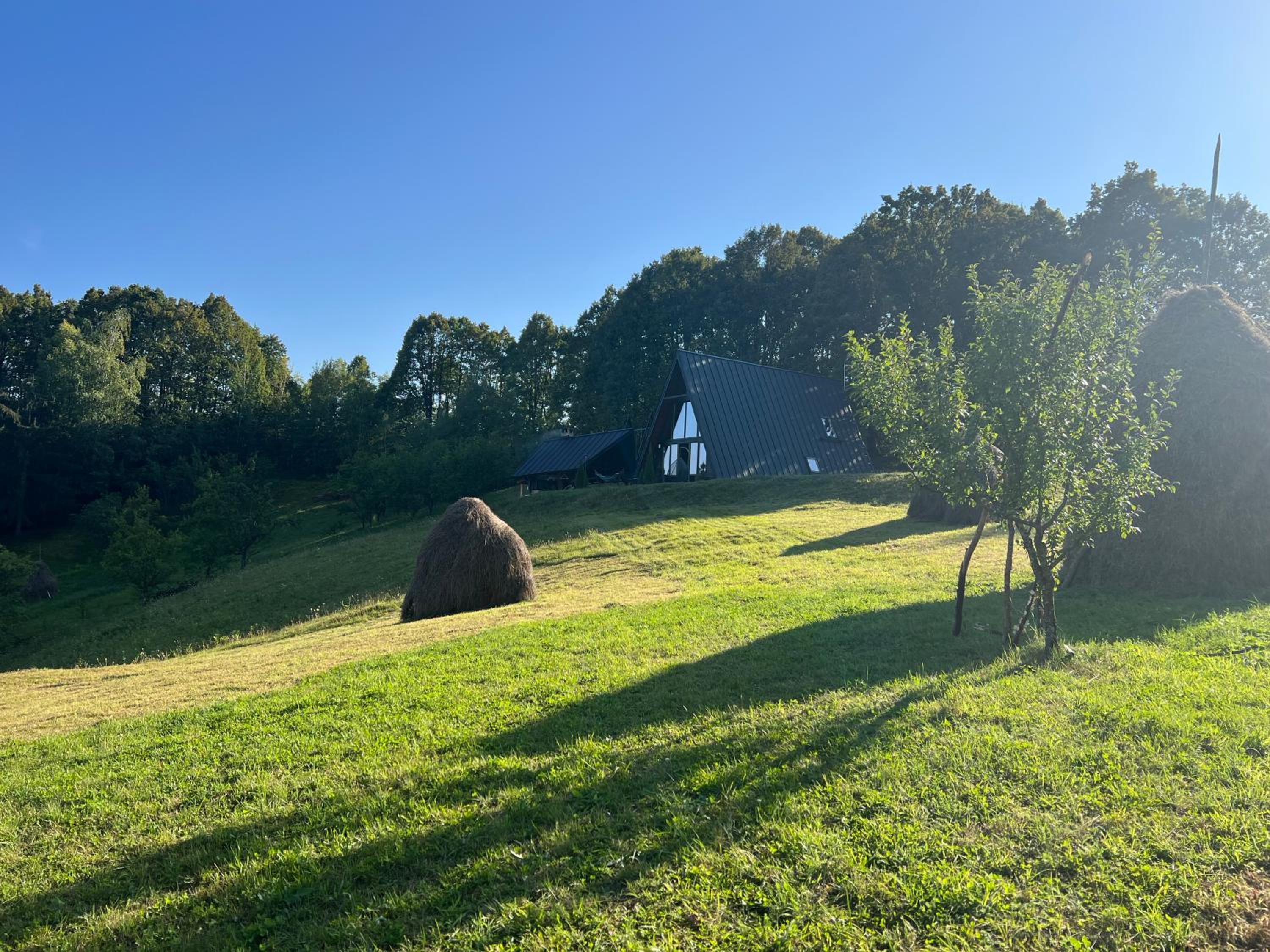 A-Frame ILIES