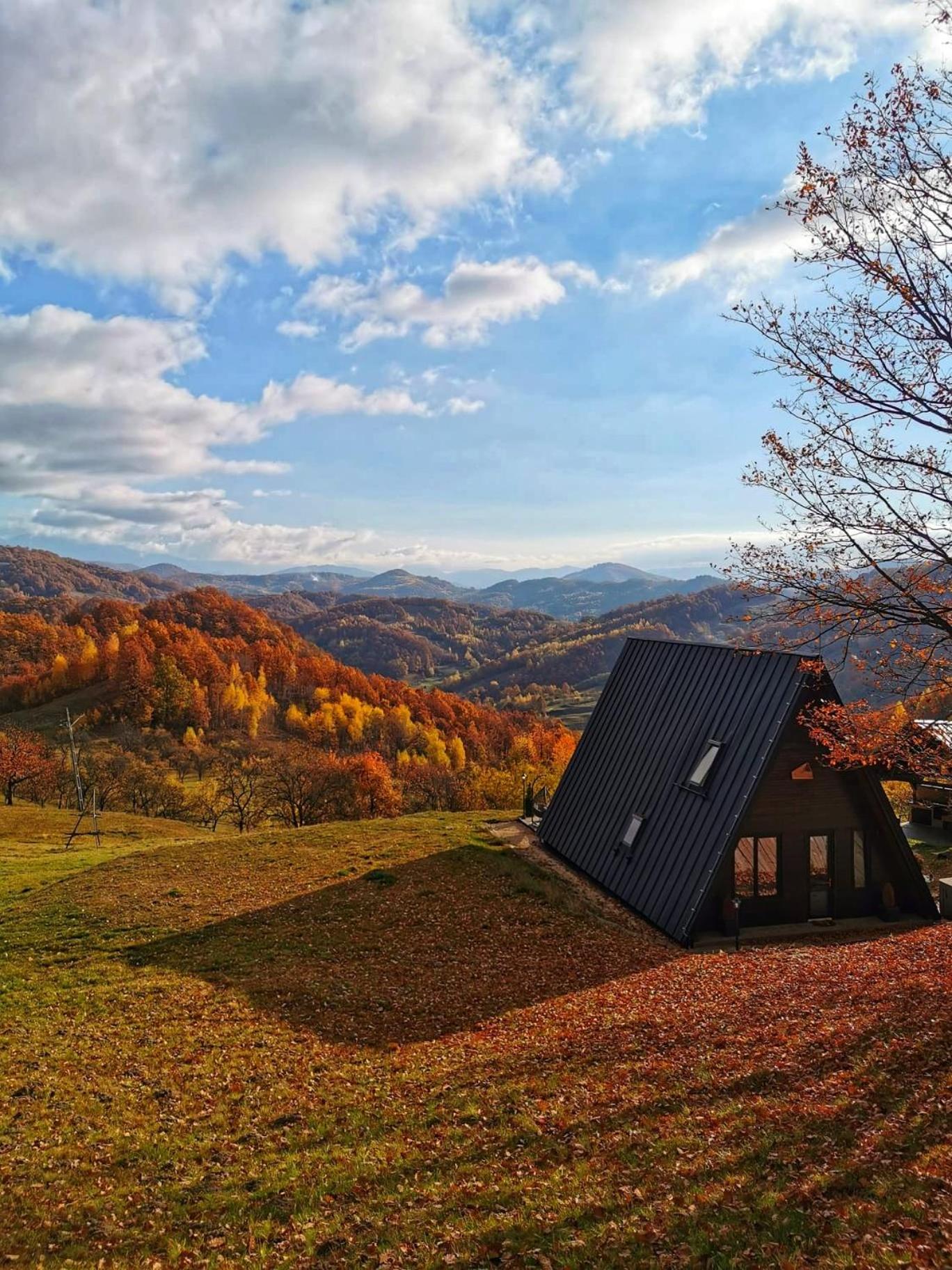 A-Frame ILIES