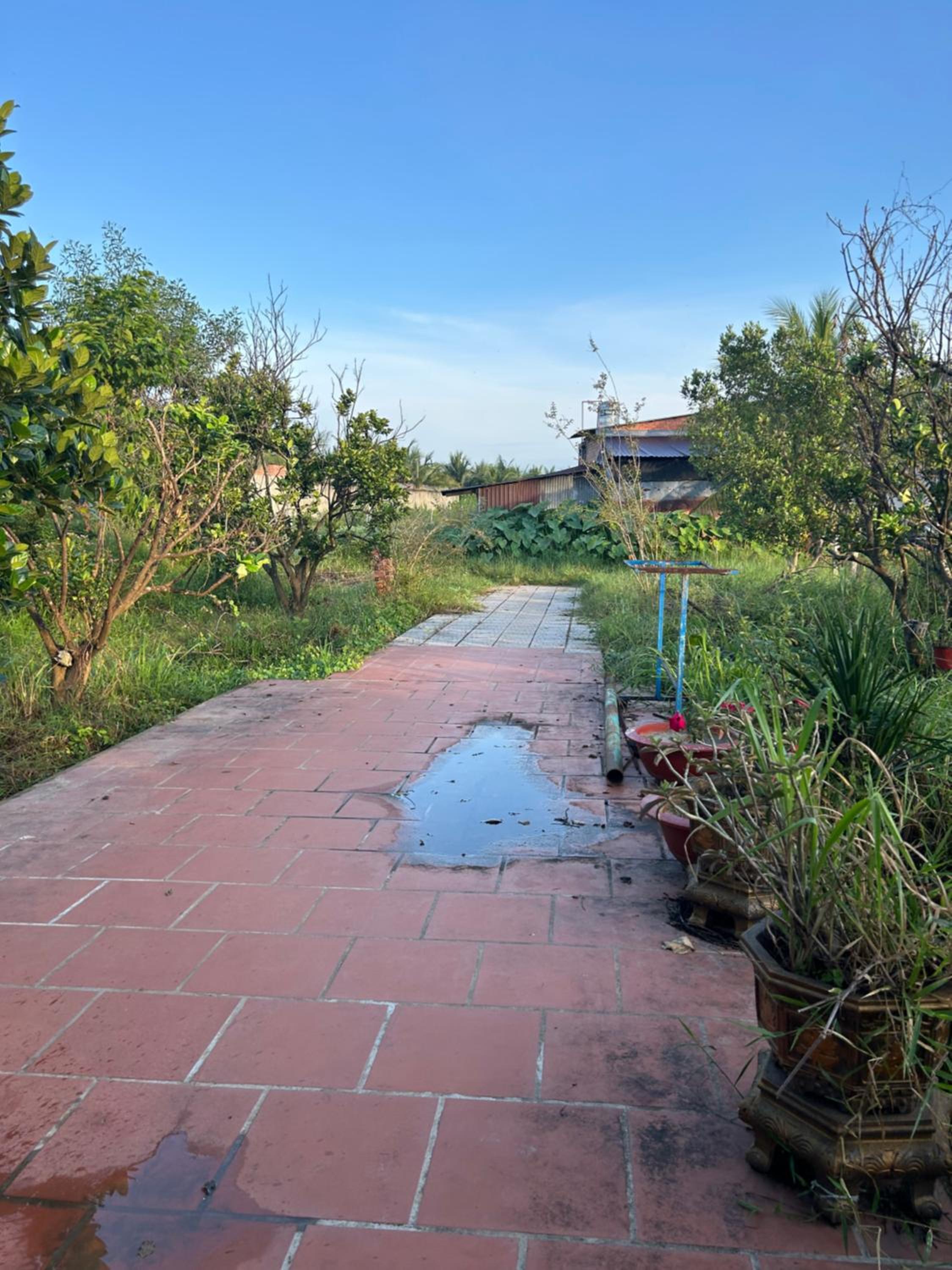 Photo 19