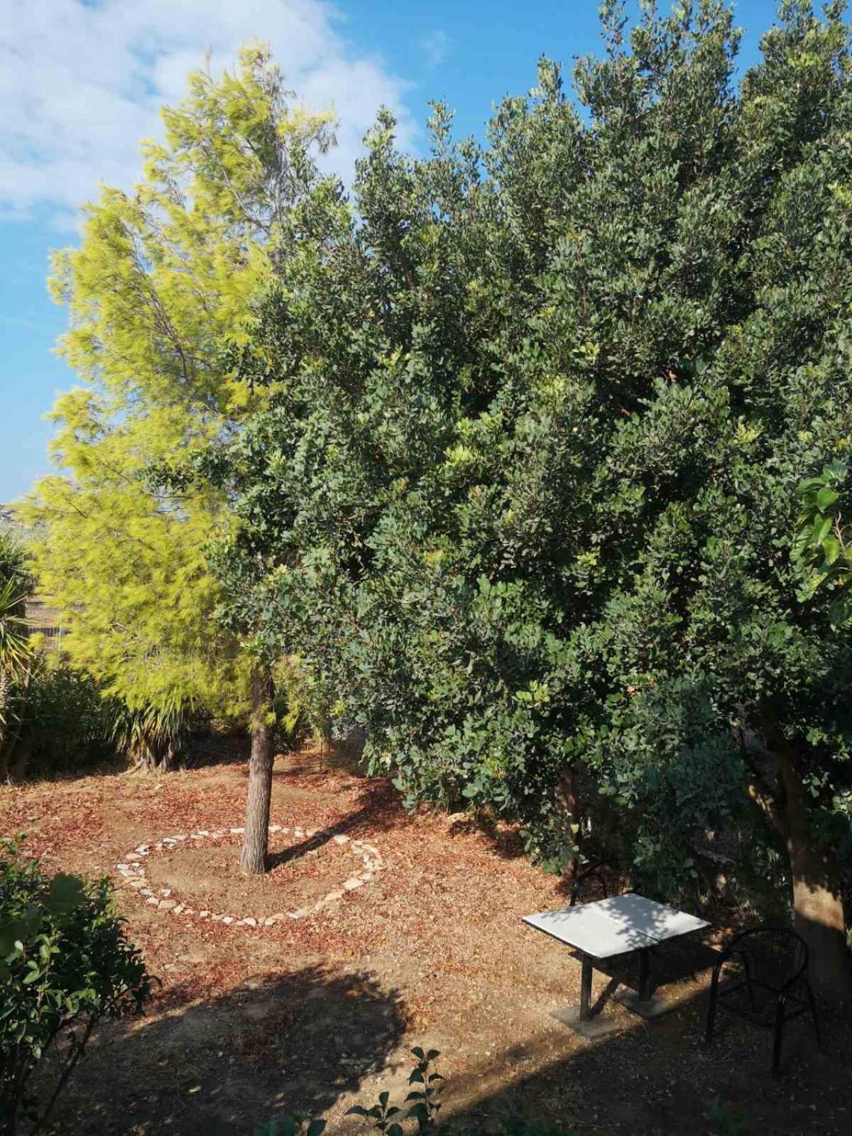 Country House in Anavyssos, photo 30