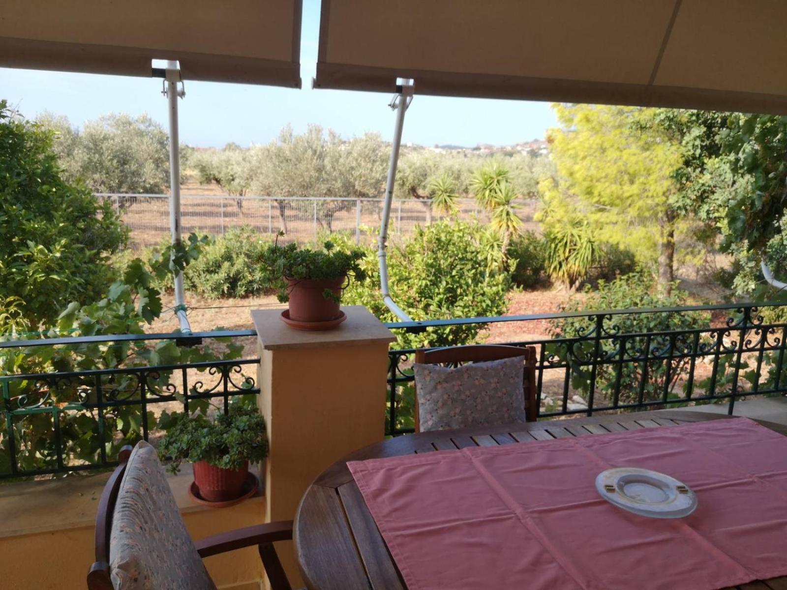 Country House in Anavyssos, photo 17