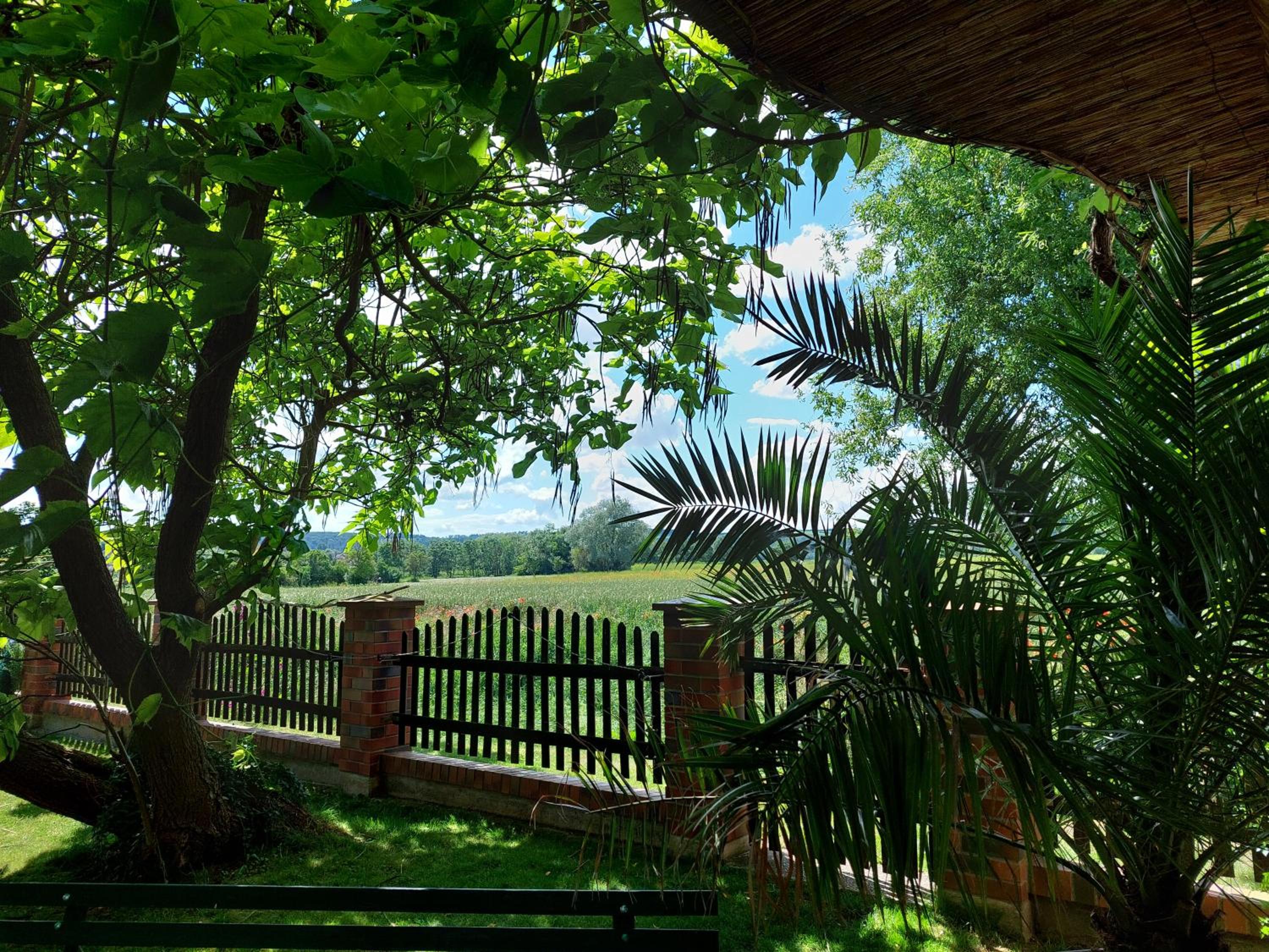 Ferienhaus Nebra 