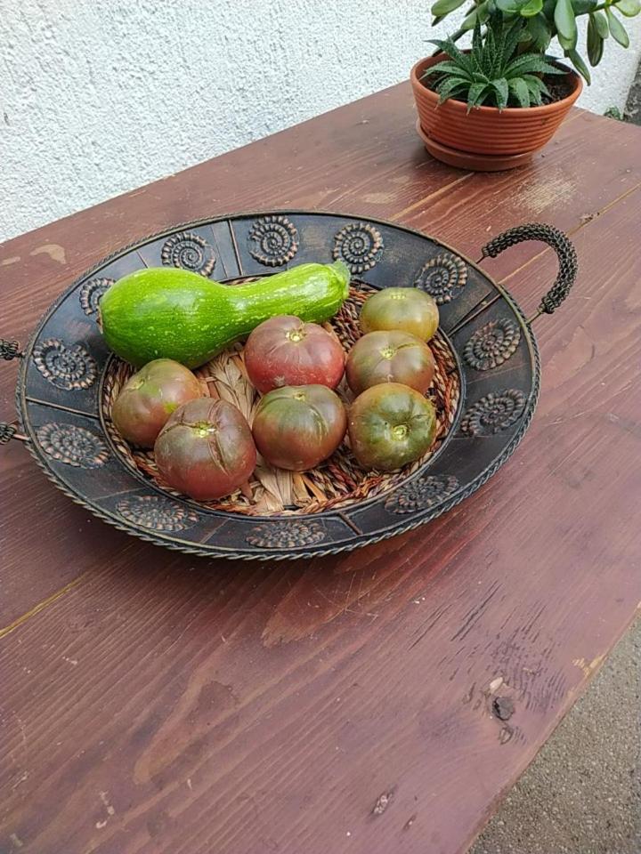 Kipos