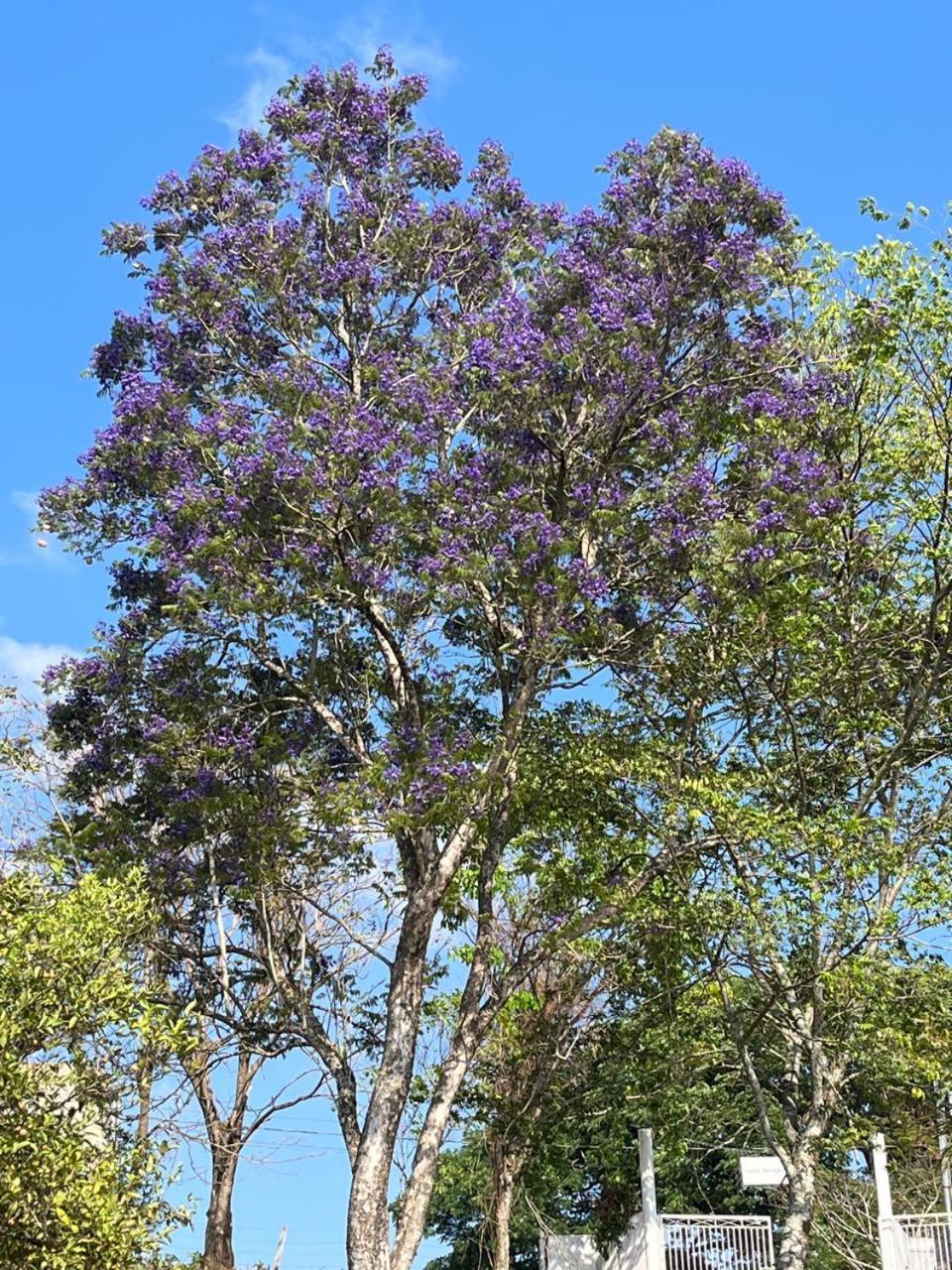 Rancho Repouso da Lua