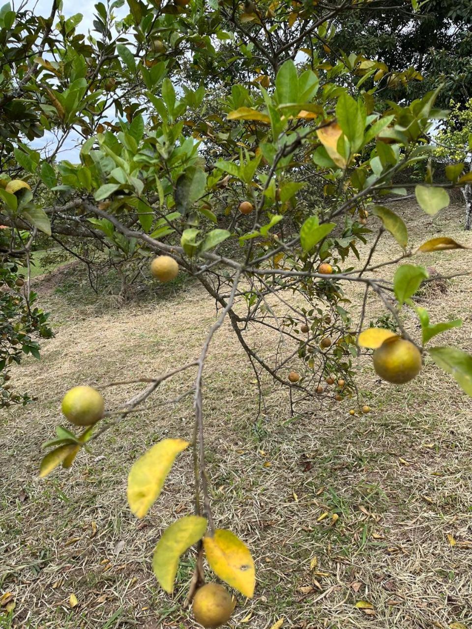 Rancho Repouso da Lua