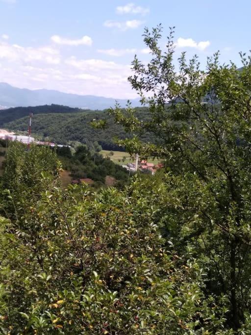 Cottage Eminem with garden and view of Sarajevo