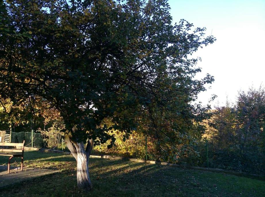 Cottage Eminem with garden and view of Sarajevo