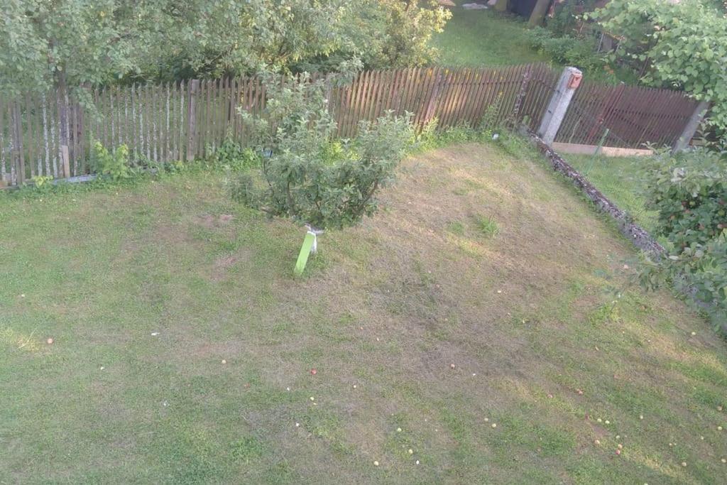 Cottage Eminem with garden and view of Sarajevo