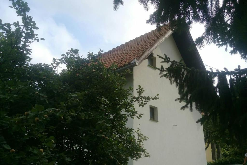 Cottage Eminem with garden and view of Sarajevo