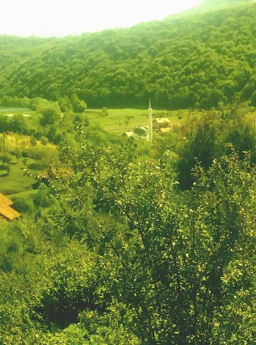 Cottage Eminem with garden and view of Sarajevo