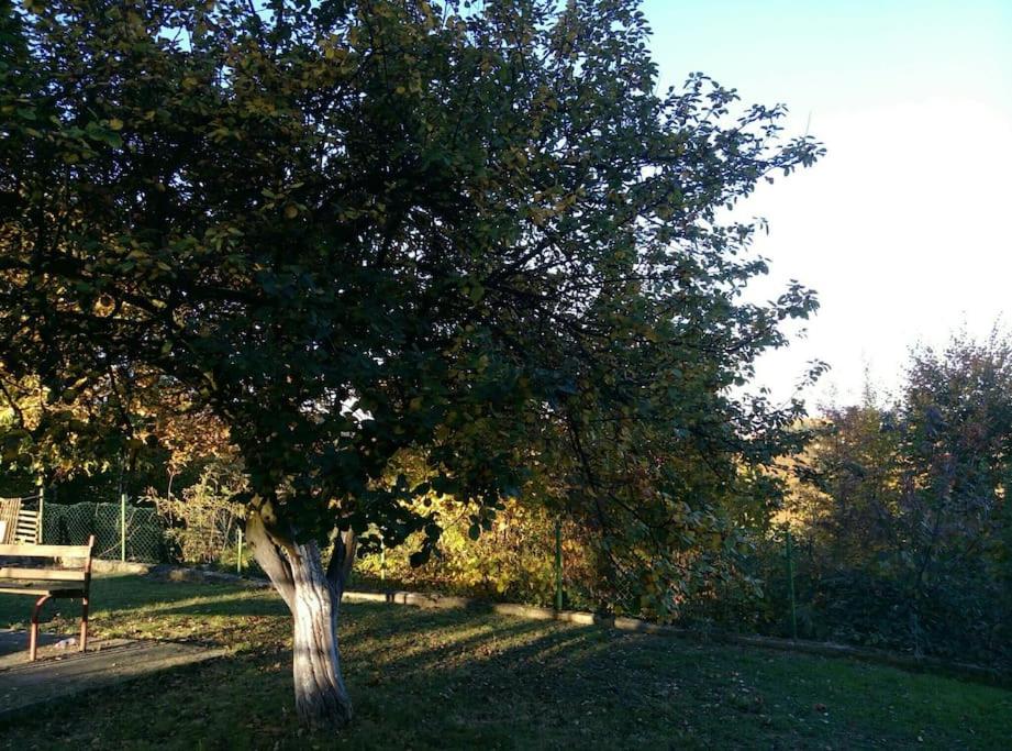 Cottage Eminem with garden and view of Sarajevo