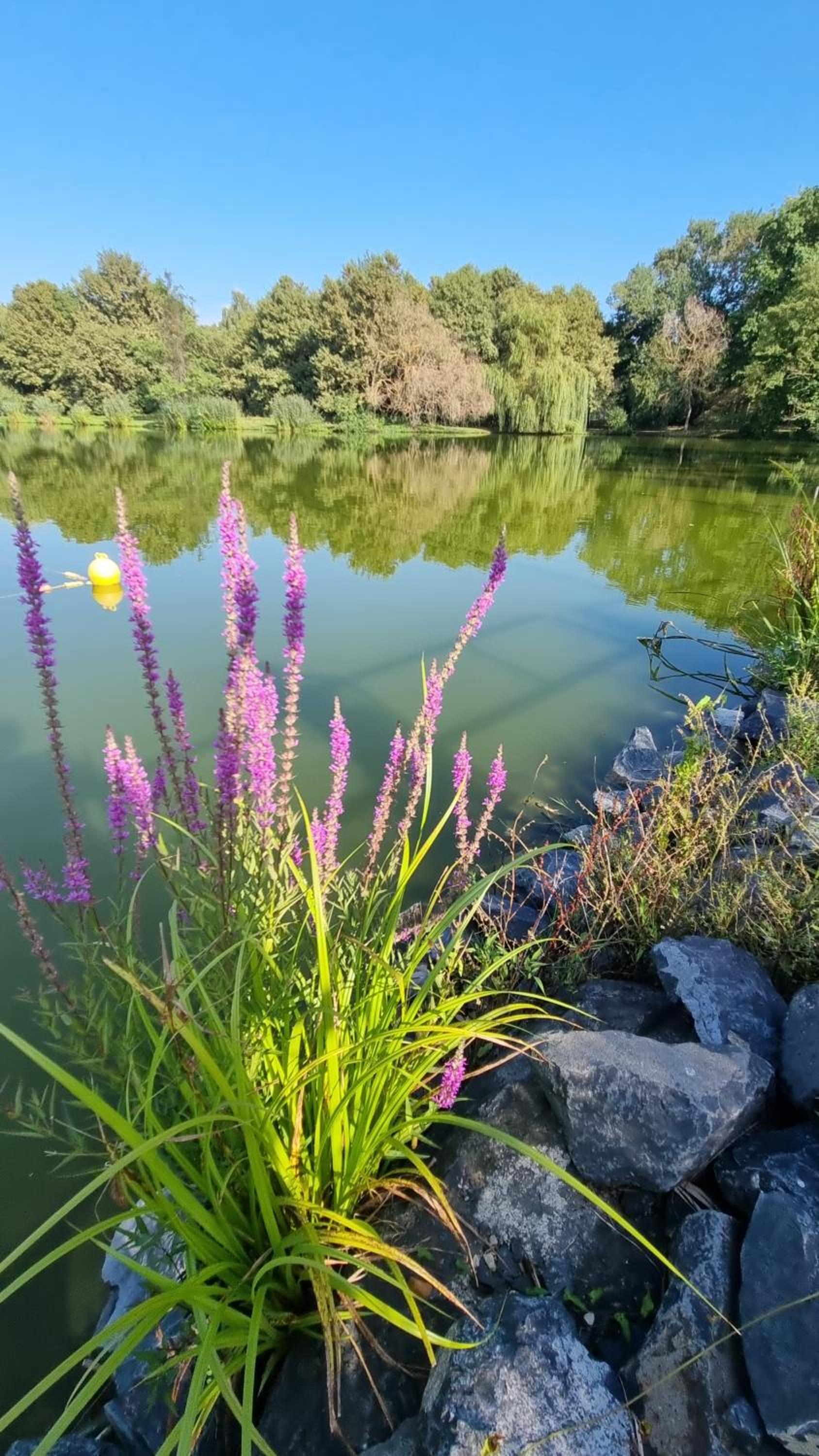 Lakeside Luxury Apartman Sárvár