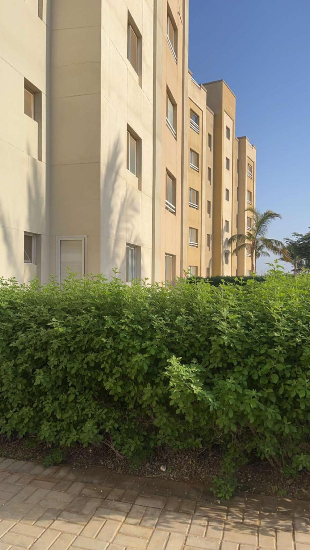 Harmony flat