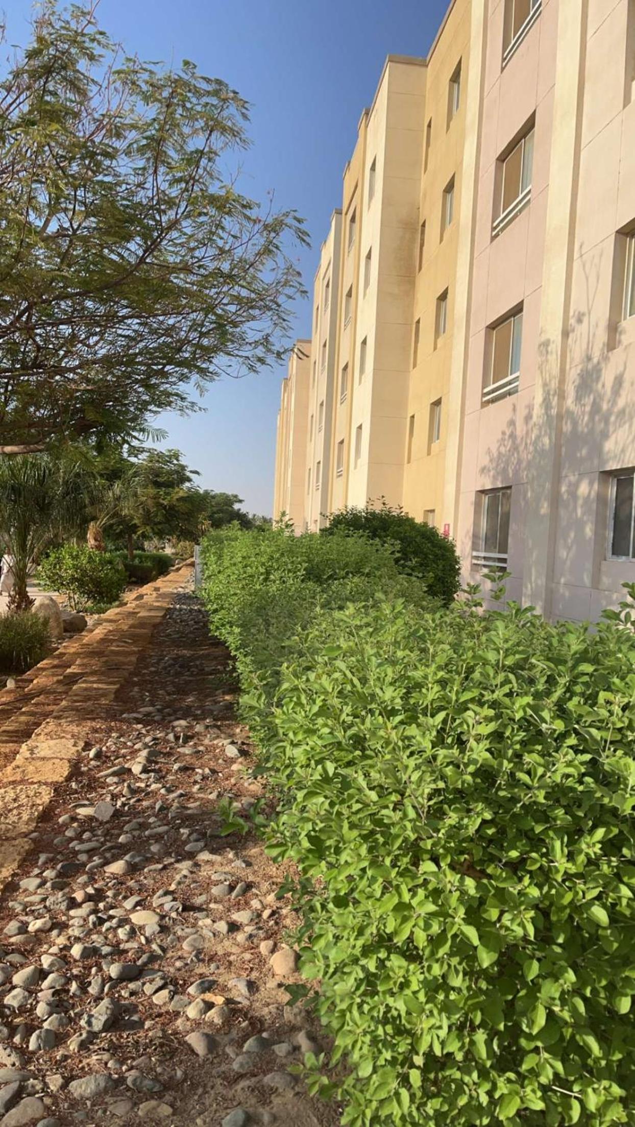 Harmony flat