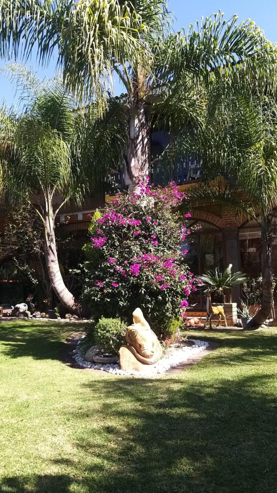 Campamento Hermoso Natural en Puebla view 2