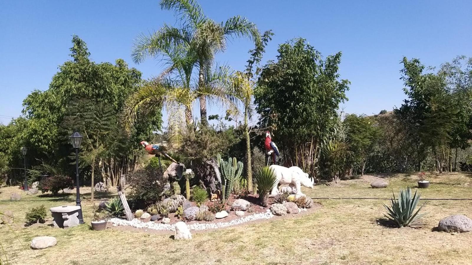 Campamento Hermoso Natural en Puebla view 3