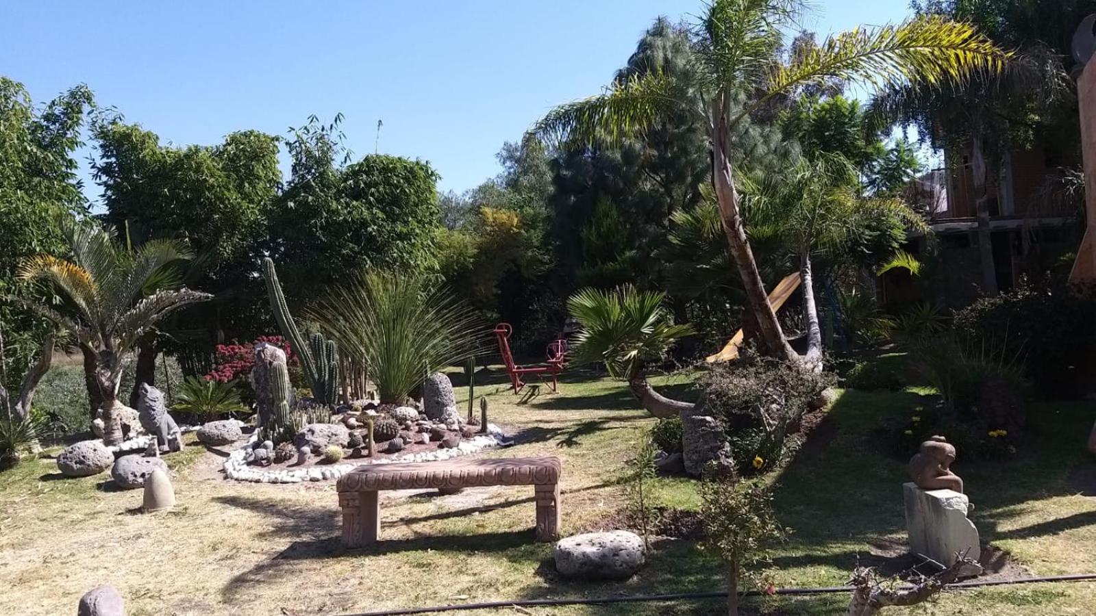 Photo 6