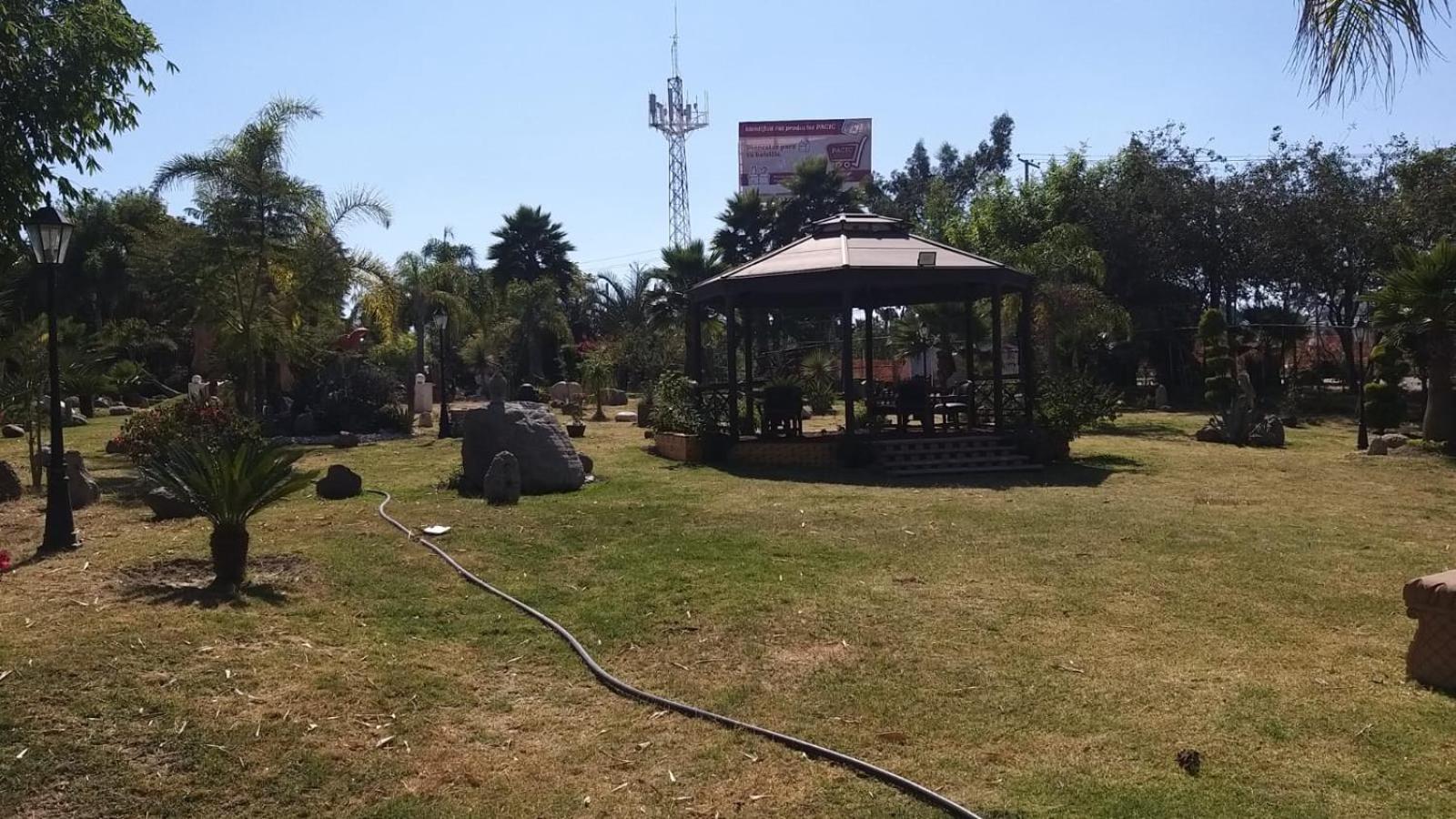 Photo 22