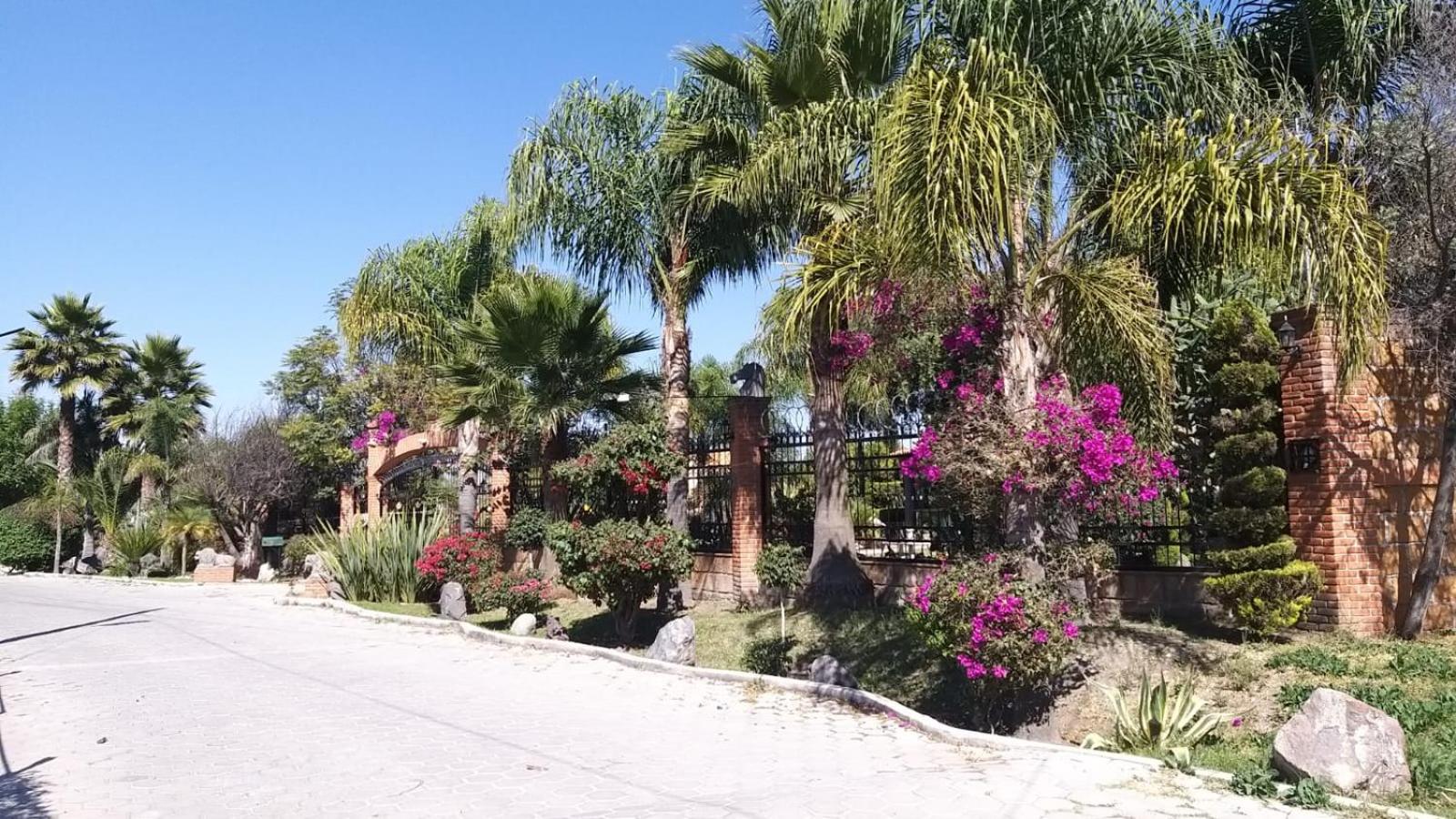 Photo 23