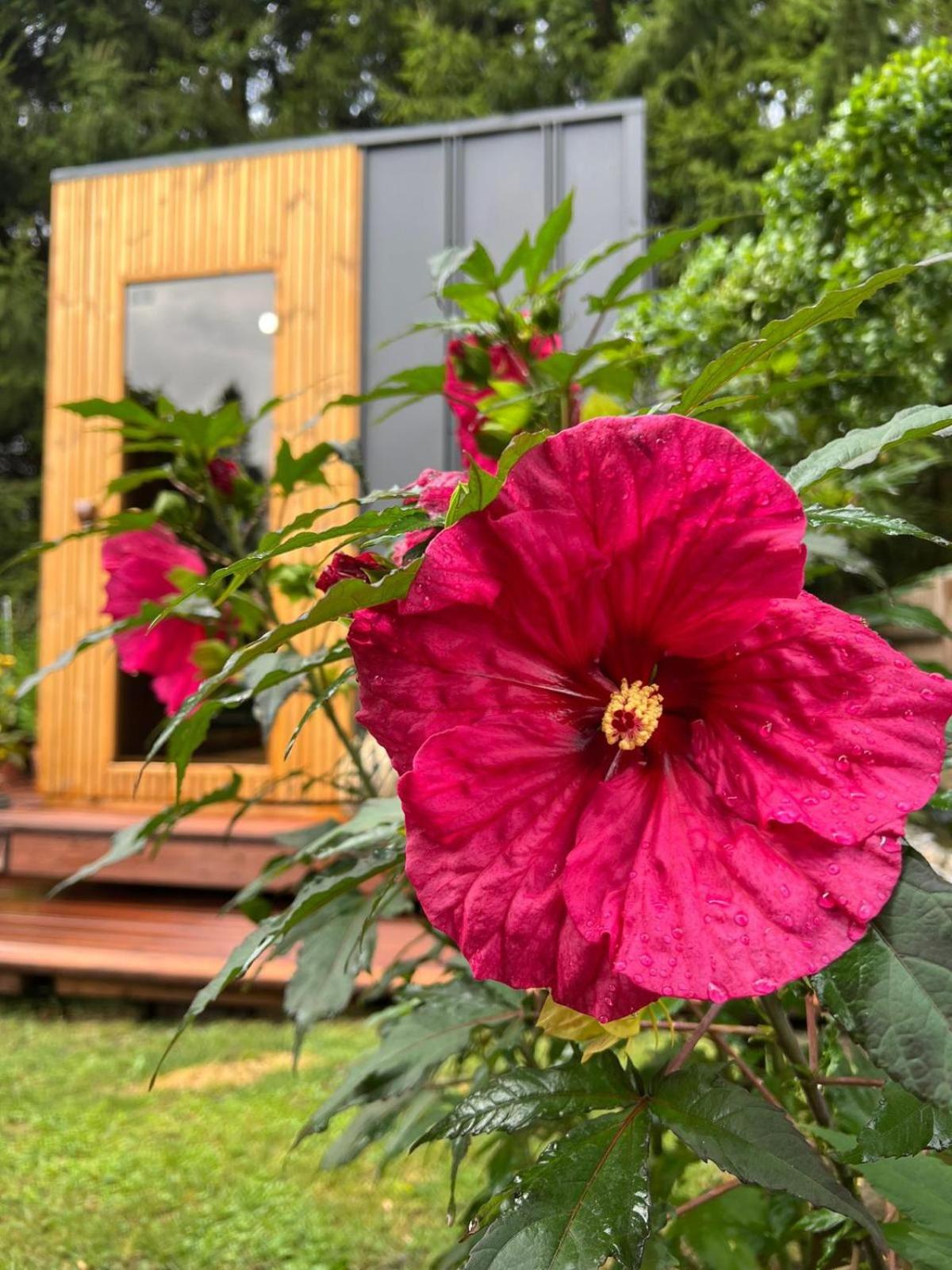 Tiny House Všemily