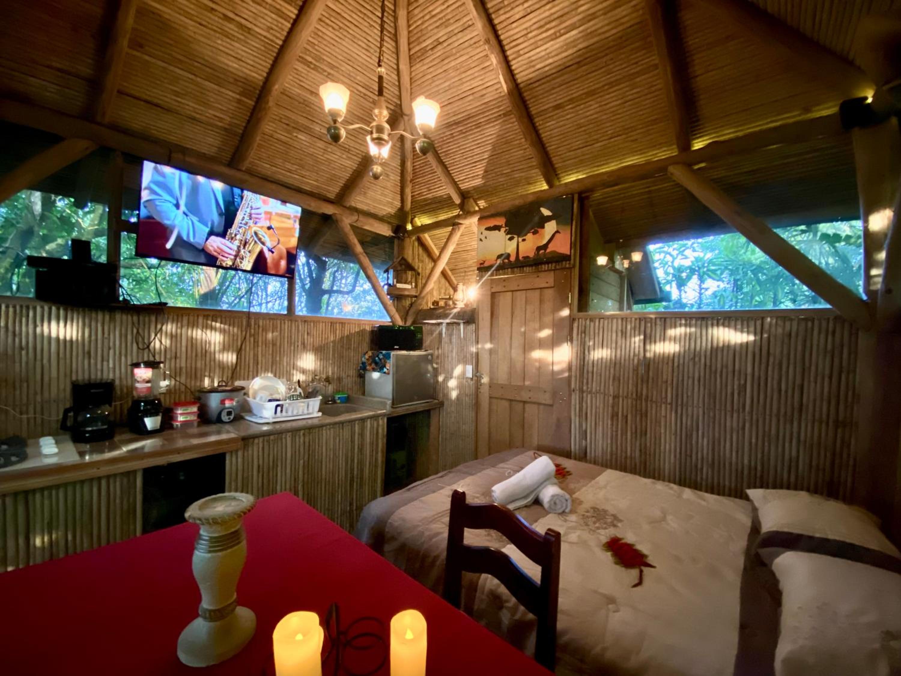 Casa del Arbol Feel Good