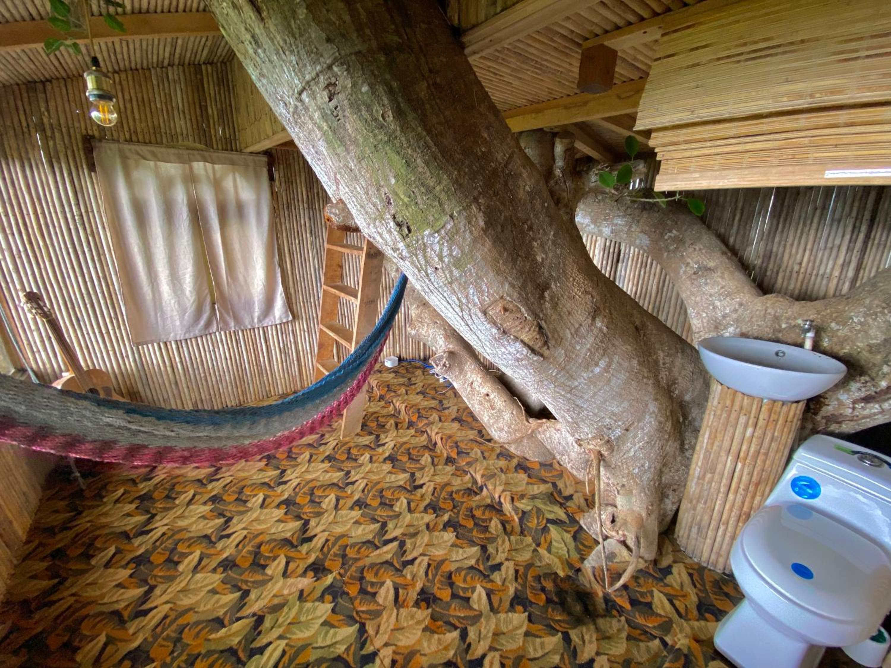 Casa del Arbol Feel Good