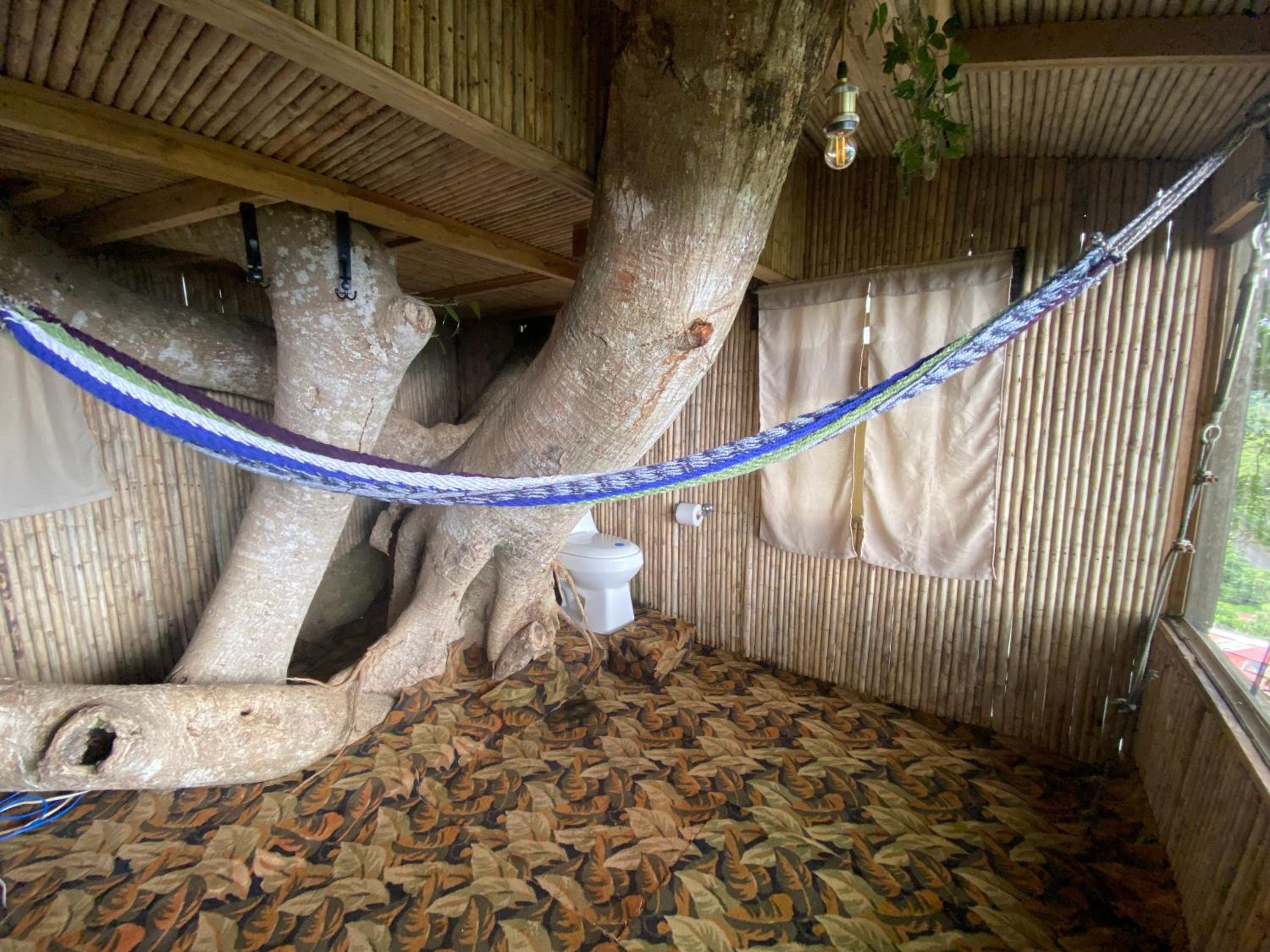 Casa del Arbol Feel Good