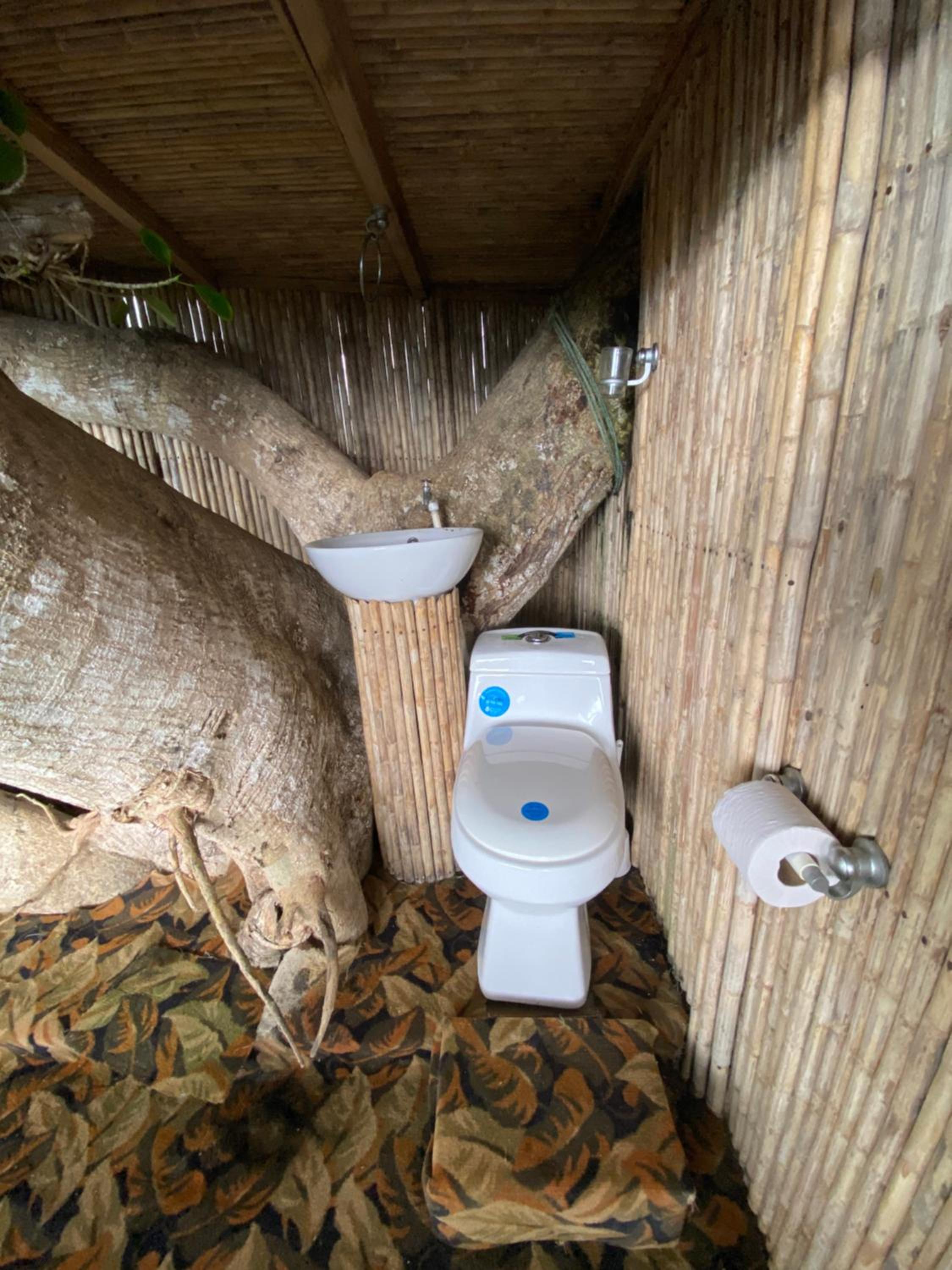 Casa del Arbol Feel Good