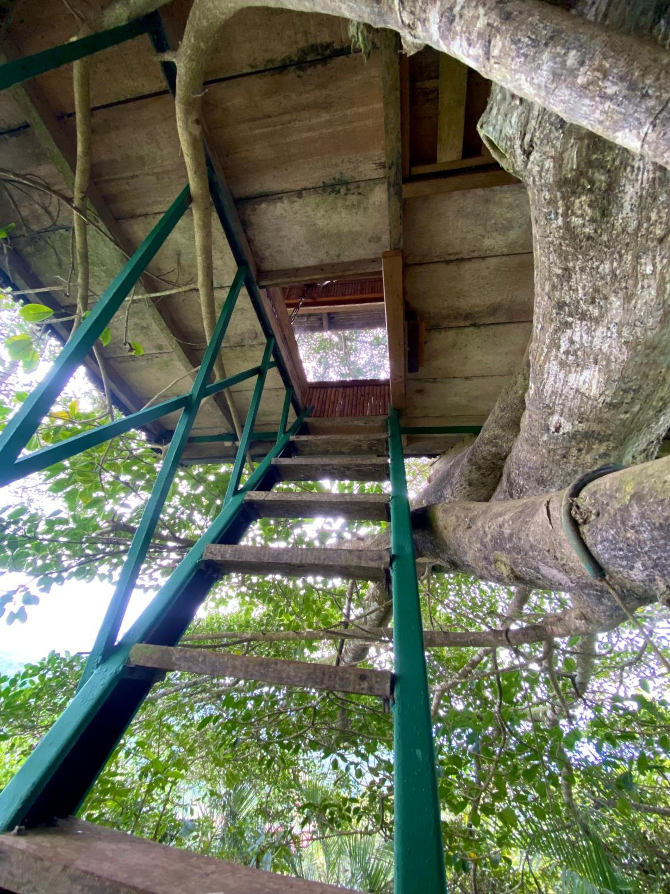 Casa del Arbol Feel Good