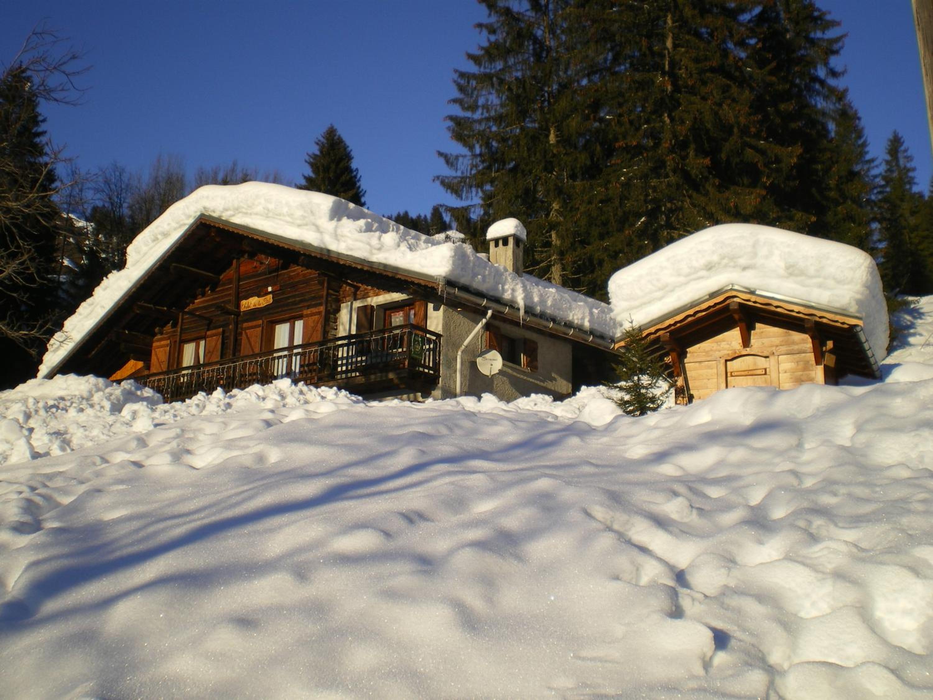 Photo 7