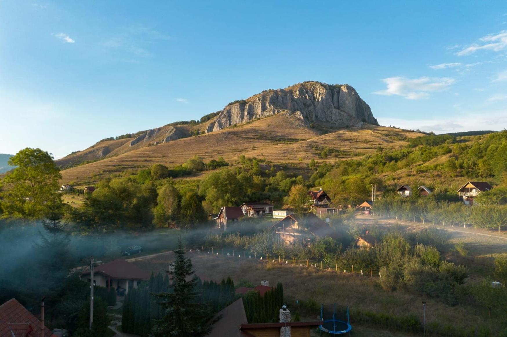 Cabana MIA Valisoara