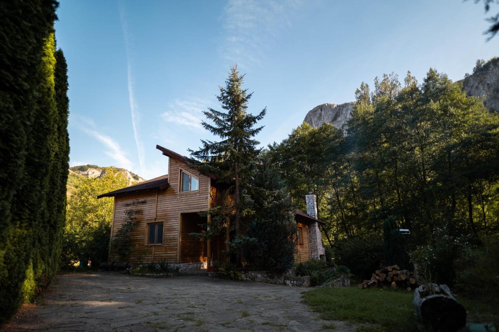 Cabana MIA Valisoara