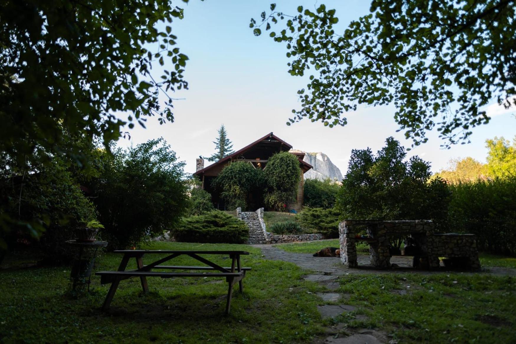 Cabana MIA Valisoara