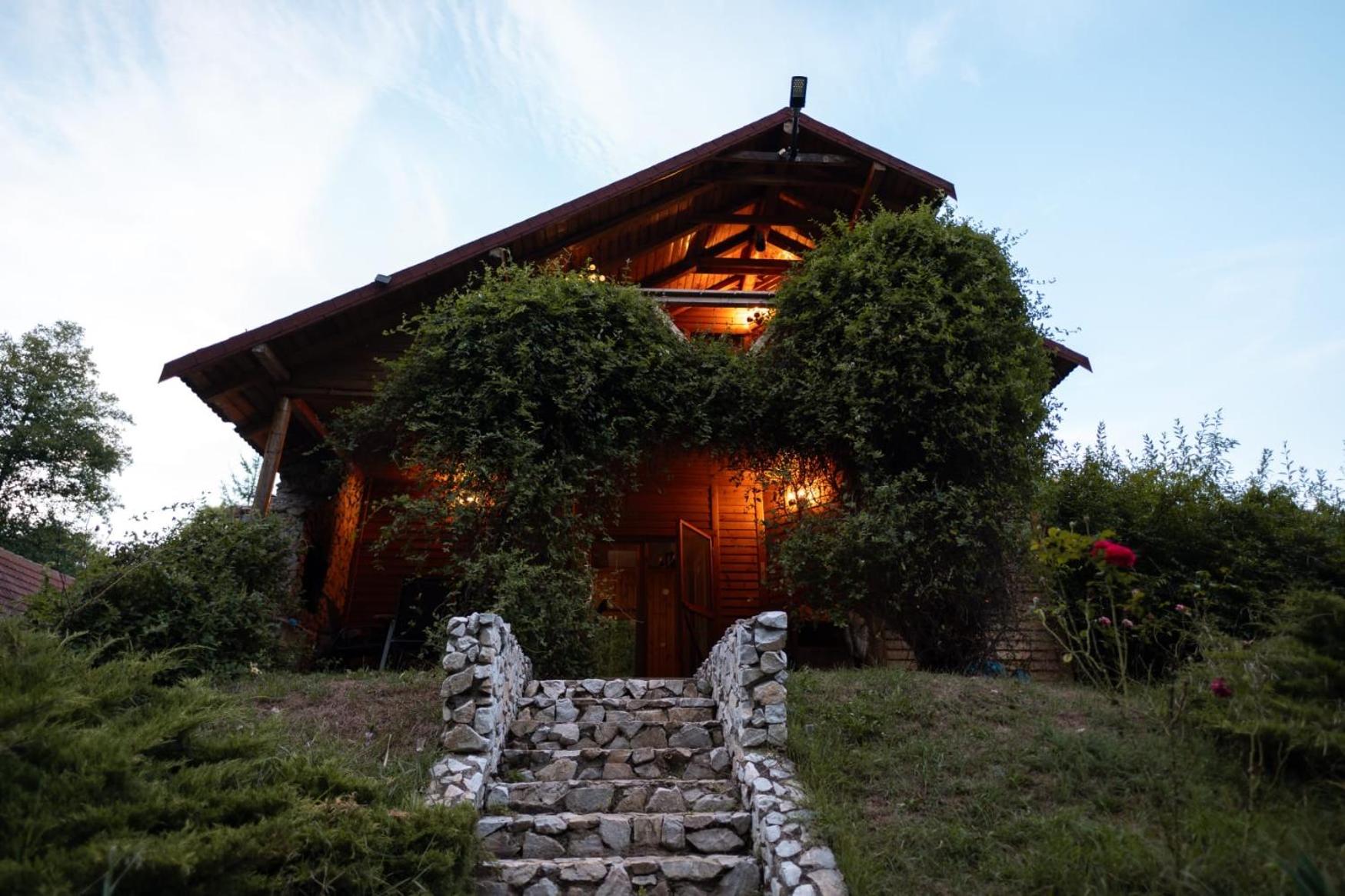 Cabana MIA Valisoara