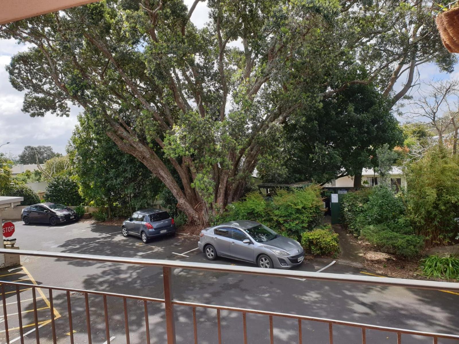 Cute comfortable, quiet studio 11 with Carpark view 2