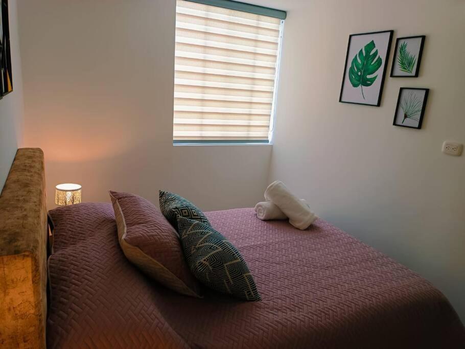 apartamento vista hermosa armenia