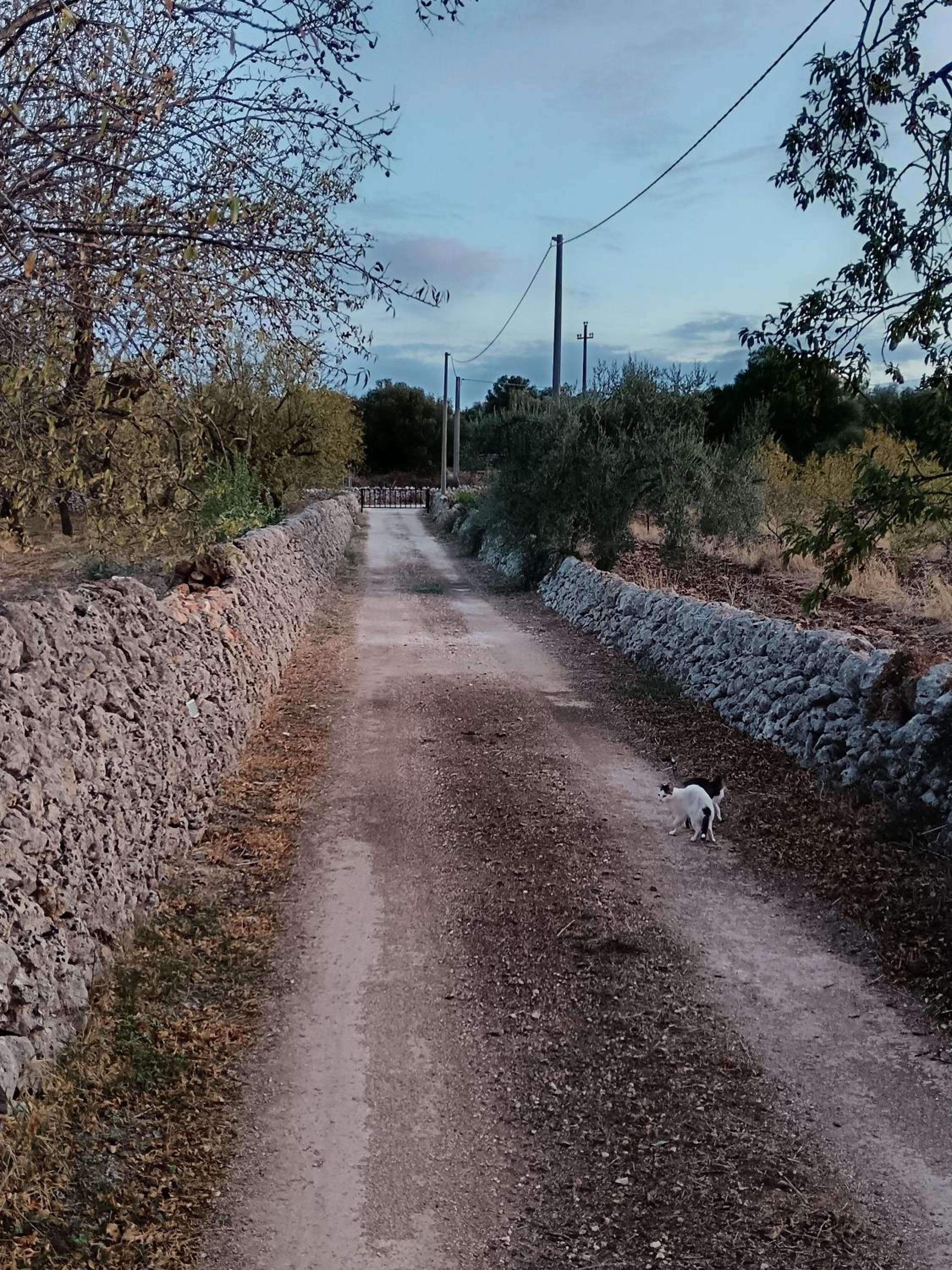 Cavasecca Country House view 4