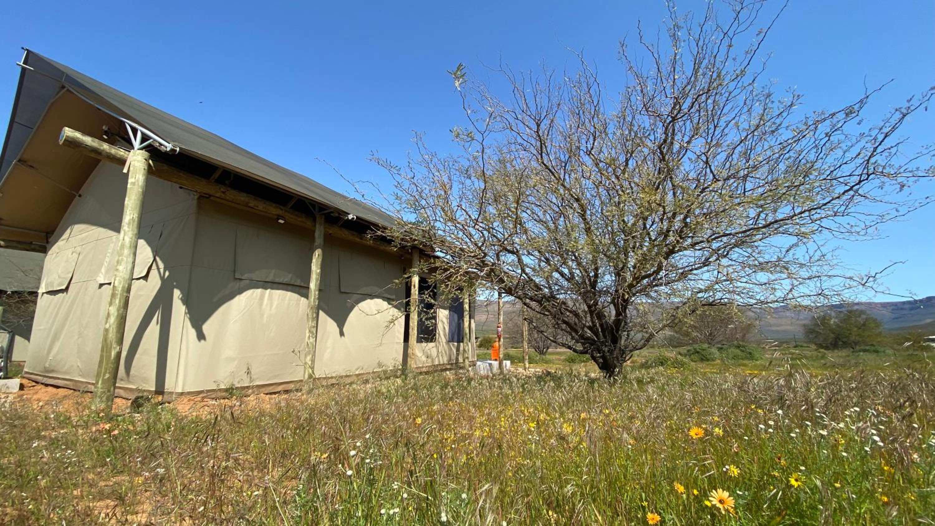 Marquee Safari Tent lachenalias