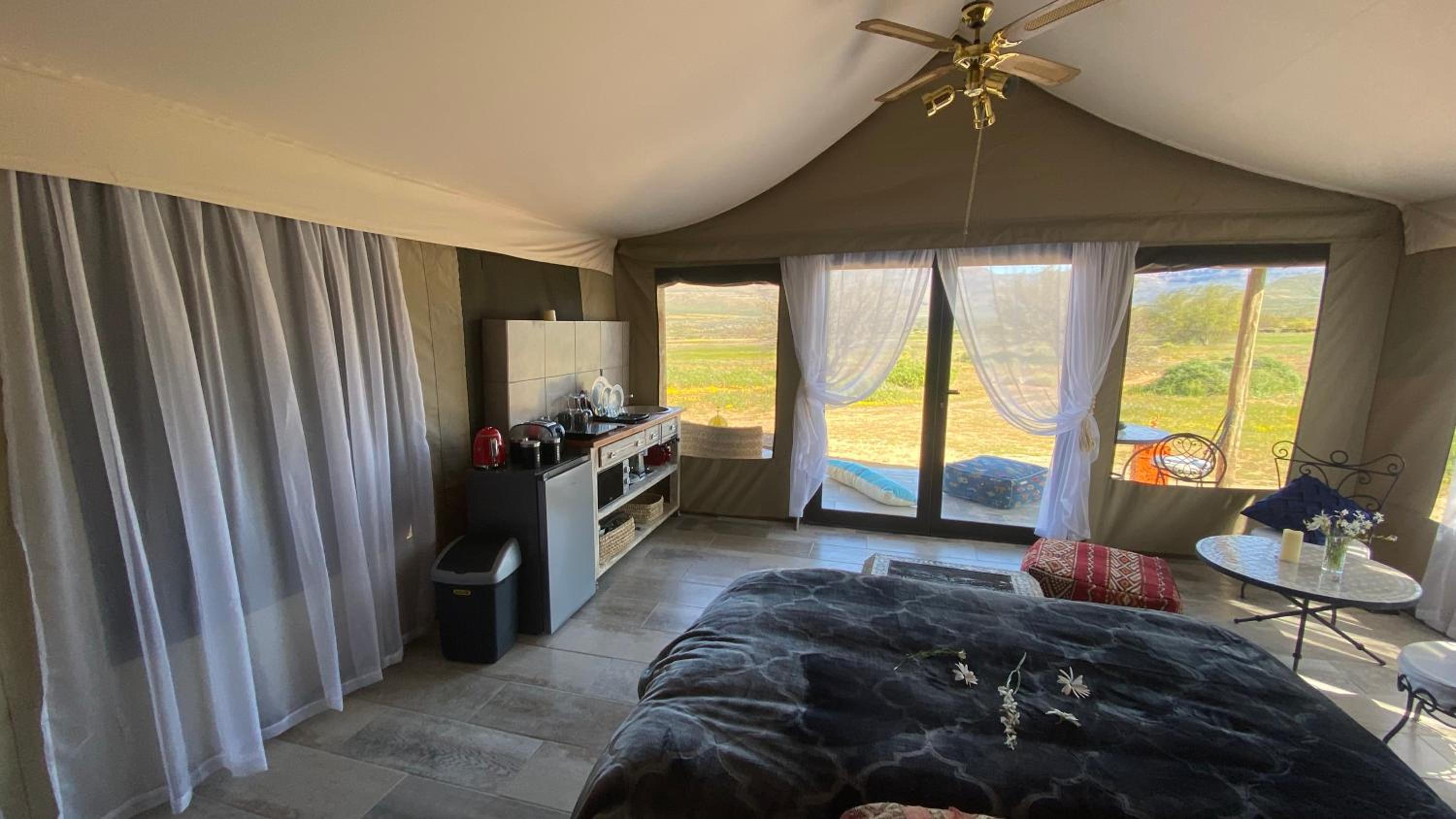 Marquee Safari Tent lachenalias