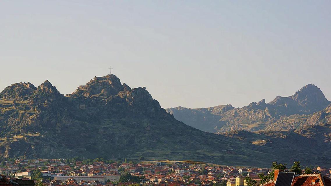 Photo 44