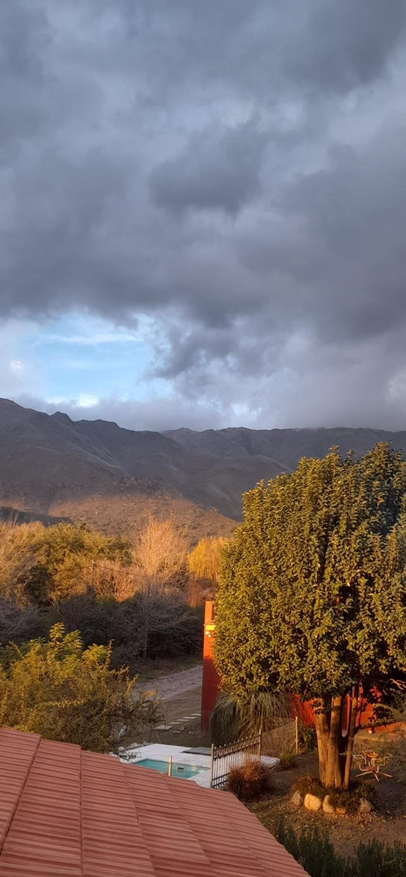 Luz del Rincón